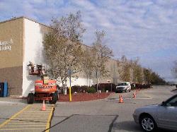 Building painting and supplies