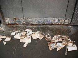cove tile repairs and supplies
